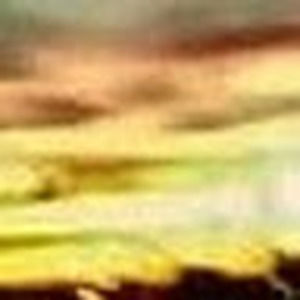 Meet your Posher, Farrah